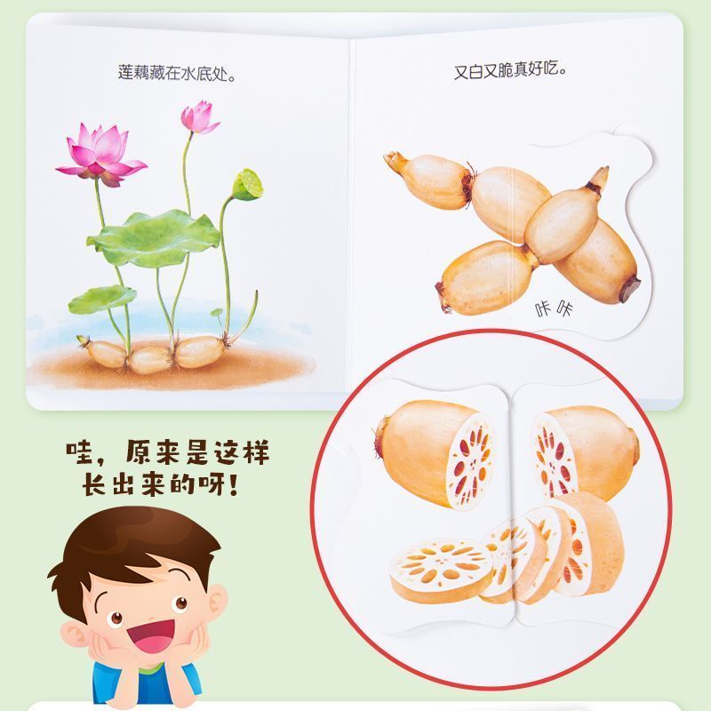 유아식 교육 플립북 - 0~6세 아기를 위한 좋은 음식 - Baby Food Age 리뷰 및 가격